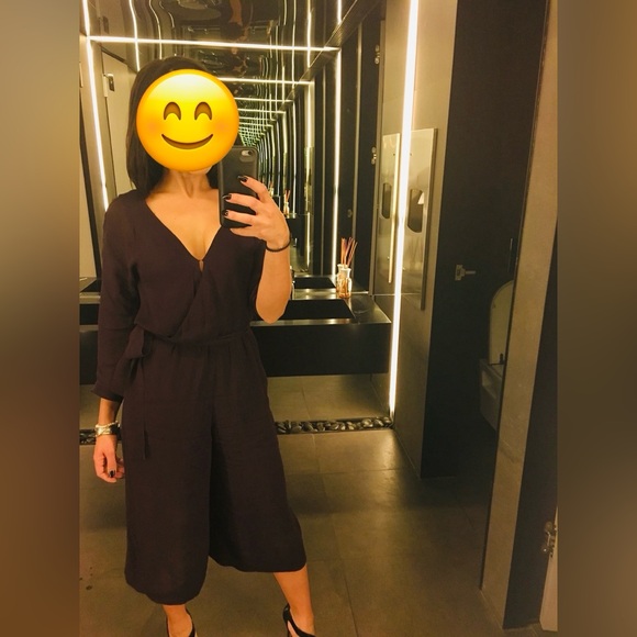 Aritzia Babaton Culotte Jumpsuit - Picture 2 of 2